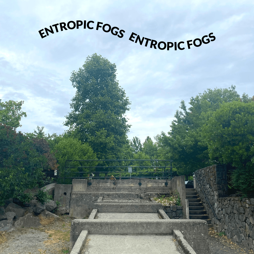Entropic Fogs